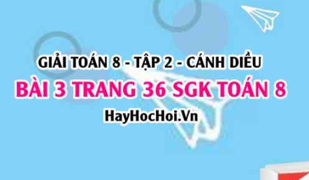 Bài 3 trang 36 Toán 8 Tập 2 Chân trời sáng tạo